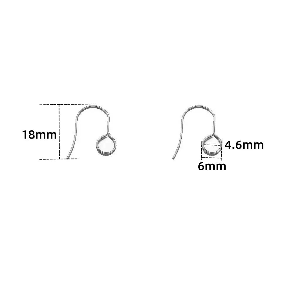 Hypoallergenic Stainless Steel French Earring Hooks, 50/100pcs Earring Wires