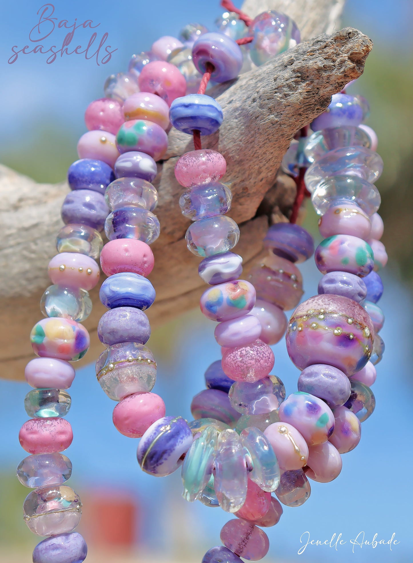 Baja Seashells Handmade Glass Lampwork Bead Strand for Jewelry Design